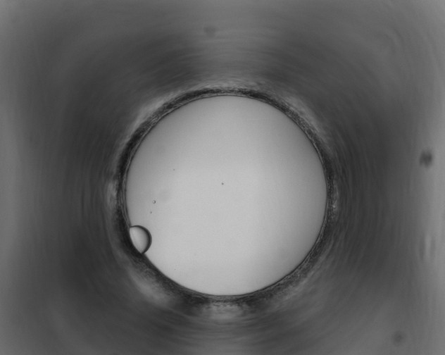 X0000102490636200808081057