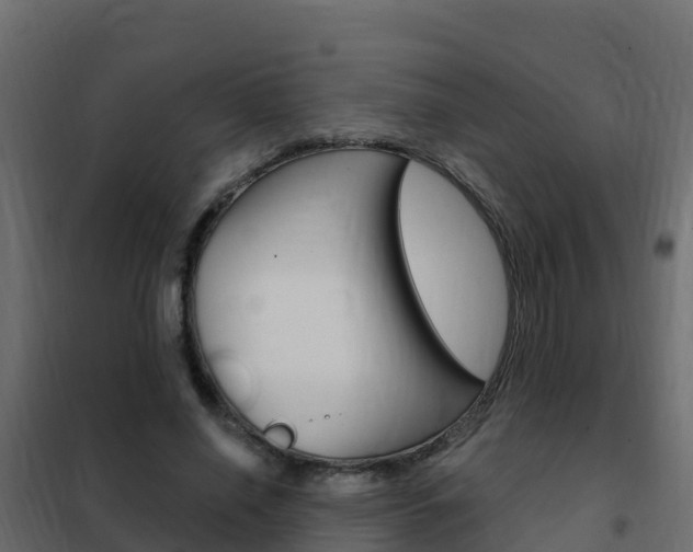 X0000102490638200808081057