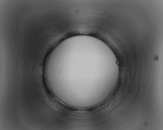 X0000102490639200808081057