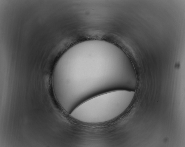 X0000102490641200808081057
