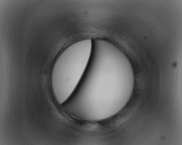 X0000102490642200808081057