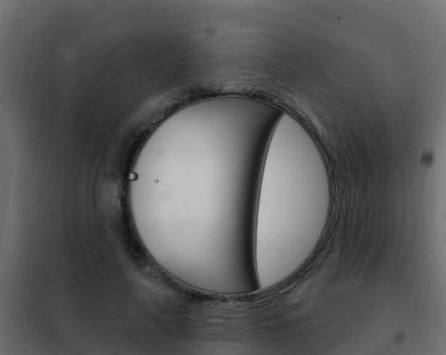 X0000102490643200808081057