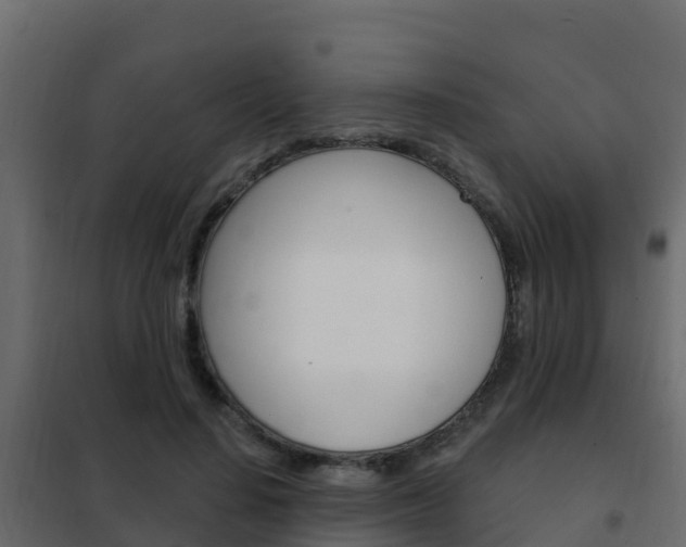 X0000102490644200808081057