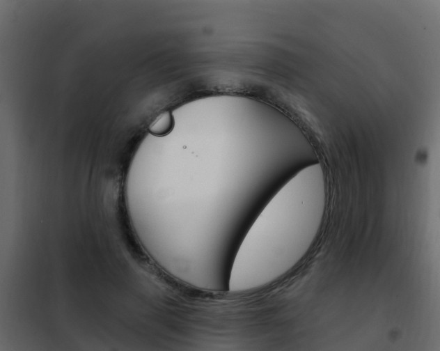 X0000102490645200808081057