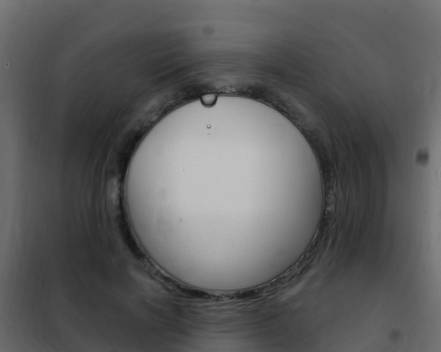 X0000102490646200808081057