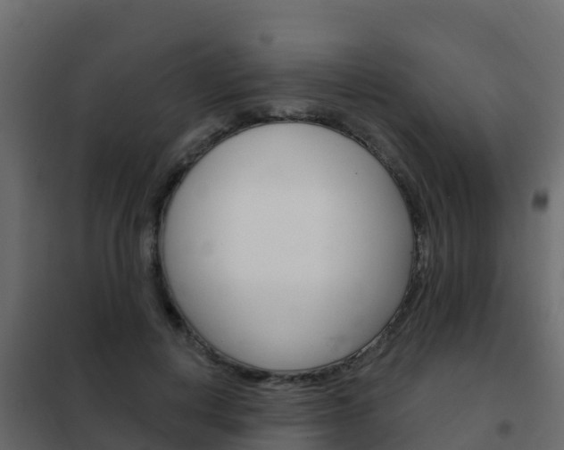 X0000102490648200808081057