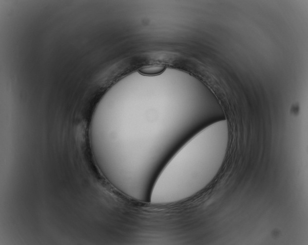 X0000102490649200808081057