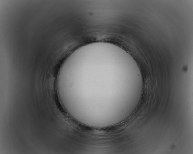 X0000102490650200808081057