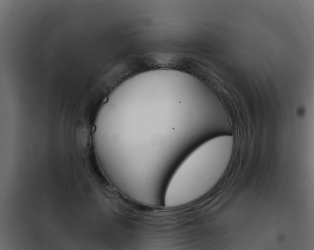 X0000102490651200808081057