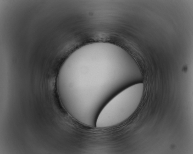 X0000102490652200808081057