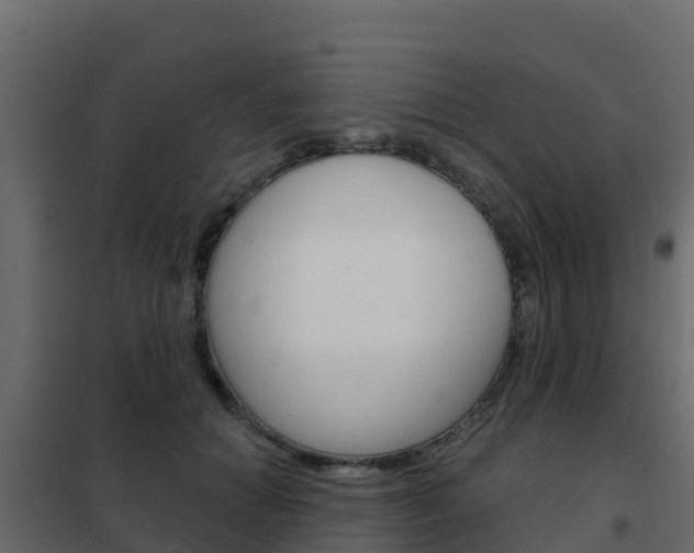 X0000102490654200808081057
