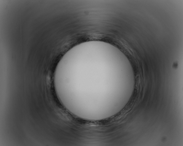 X0000102490655200808081057