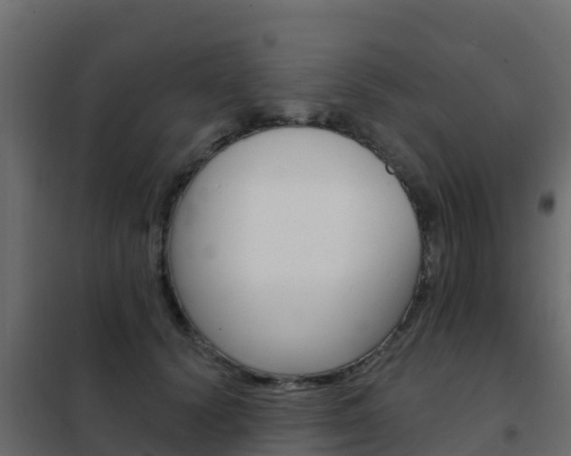 X0000102490656200808081057