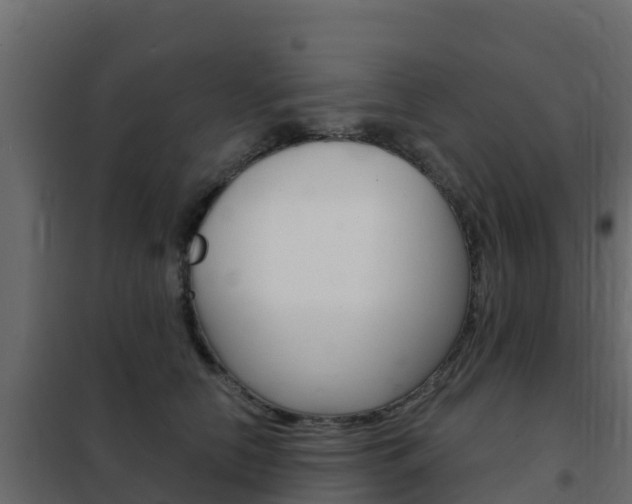 X0000102490658200808081057