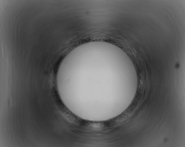 X0000102490659200808081057