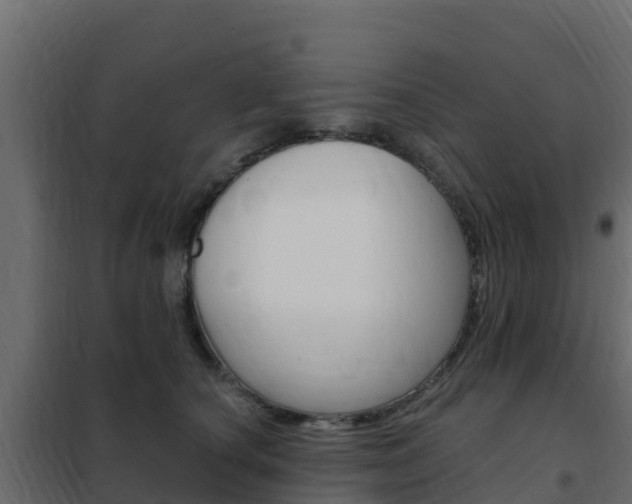 X0000102490660200808081057
