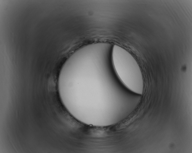 X0000102490661200808081057