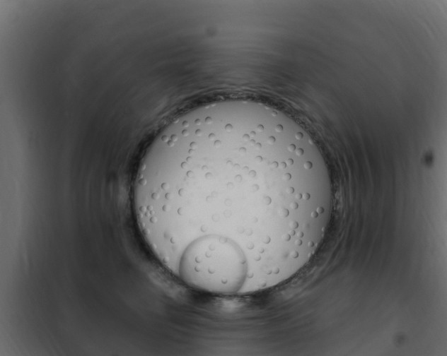 X0000102490662200808081057