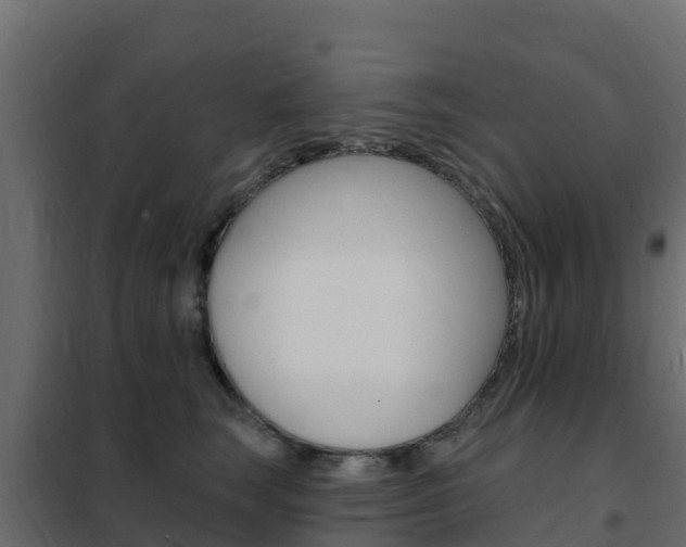 X0000102490663200808081057
