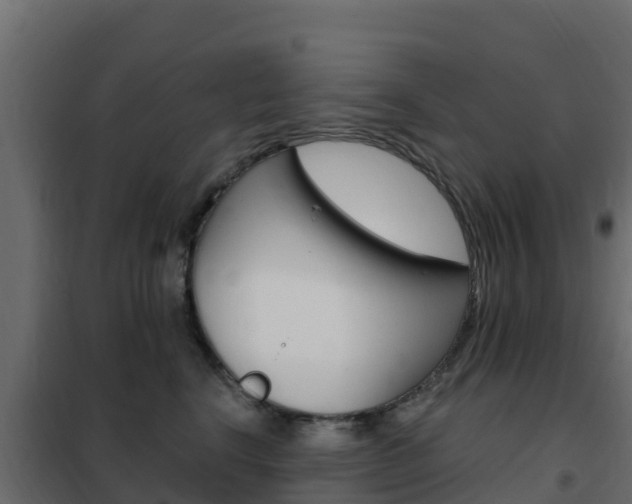X0000102490664200808081057