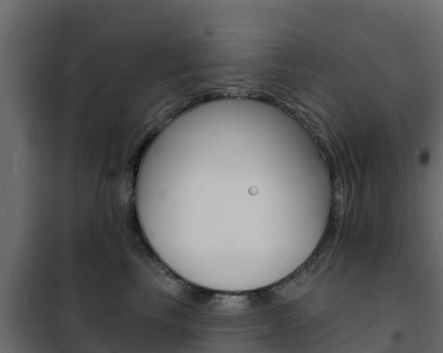 X0000102490665200808081057