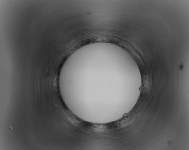 X0000102490667200808081057