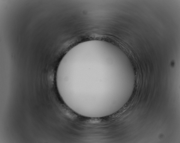 X0000102490668200808081057