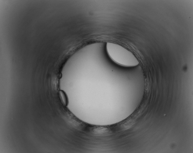X0000102490669200808081057
