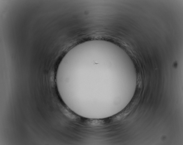 X0000102490670200808081057