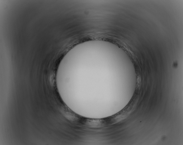 X0000102490671200808081057