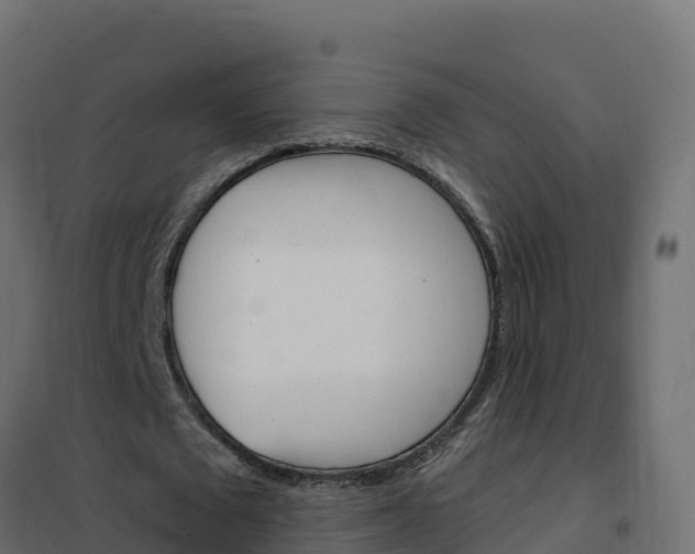 X0000102490673200808081057