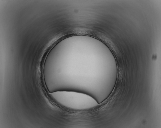 X0000102490674200808081057
