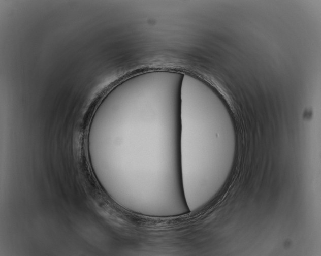 X0000102490675200808081057