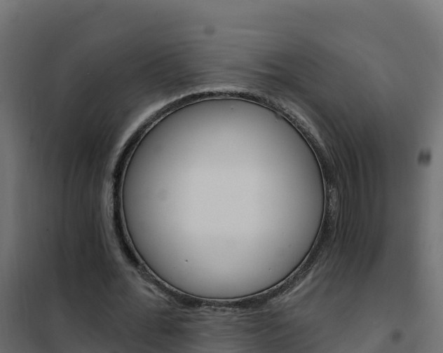 X0000102490676200808081057