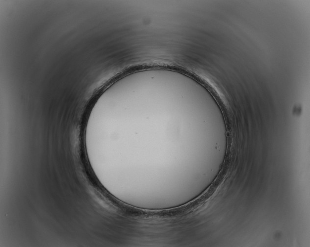 X0000102490677200808081057