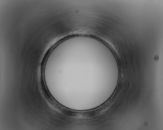 X0000102490678200808081057