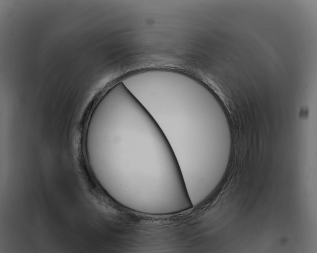 X0000102490679200808081056