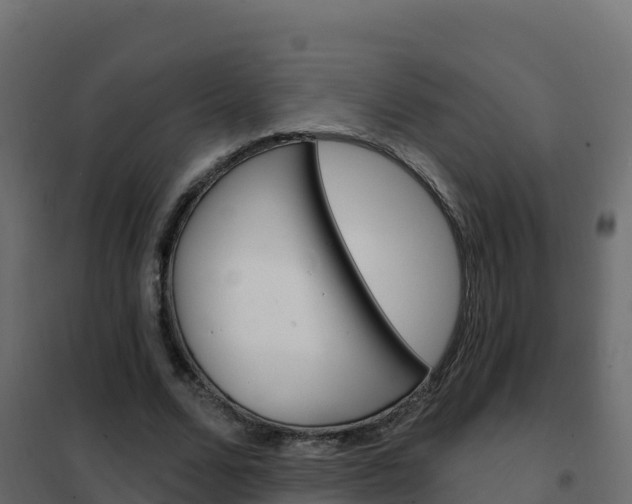 X0000102490680200808081056