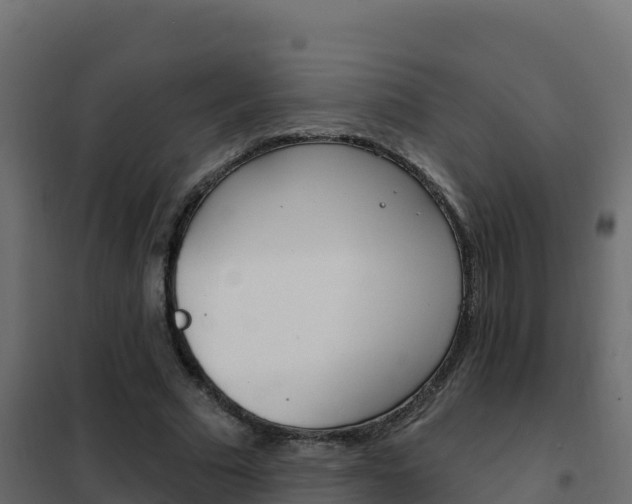 X0000102490681200808081056