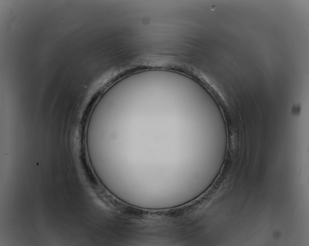 X0000102490682200808081056