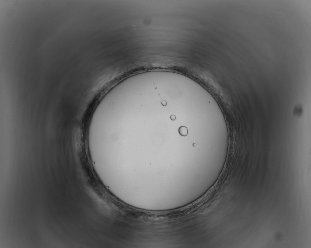 X0000102490683200808081056