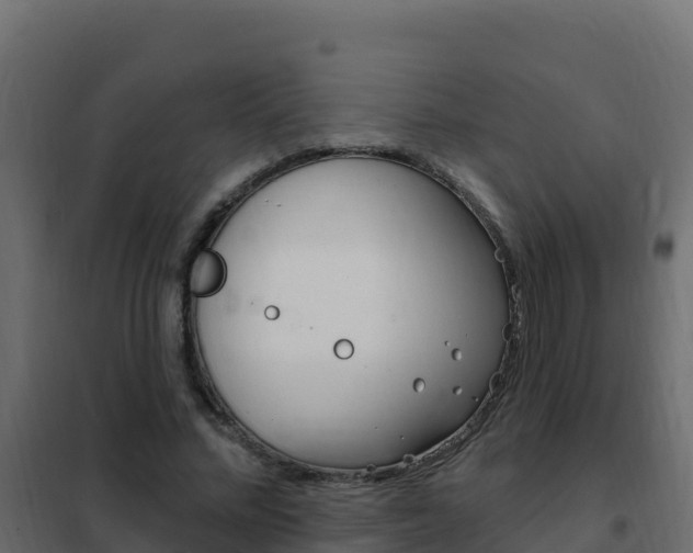 X0000102490684200808081056