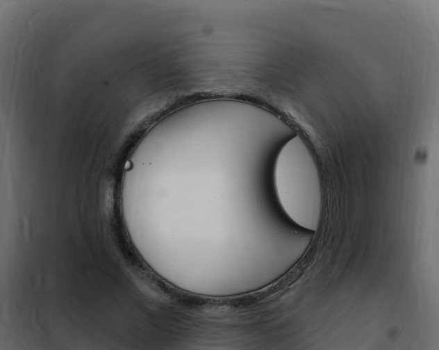 X0000102490685200808081056