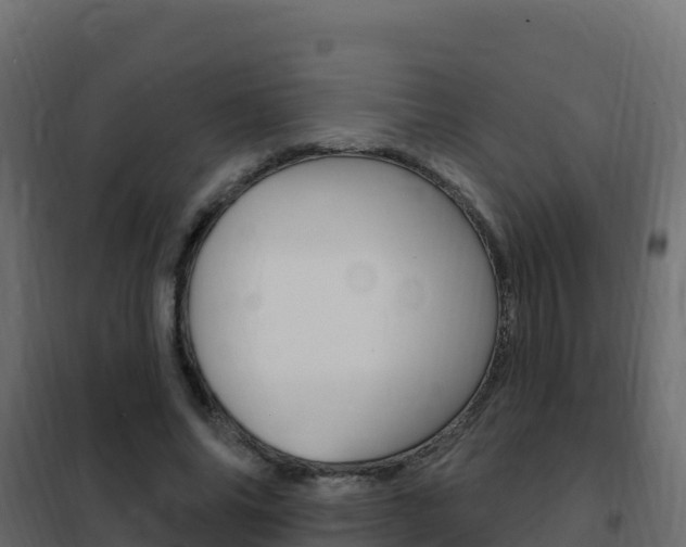 X0000102490686200808081056