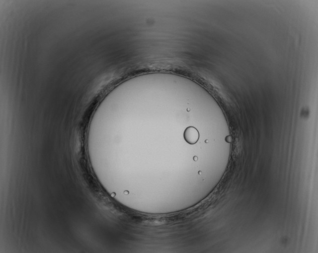 X0000102490687200808081056