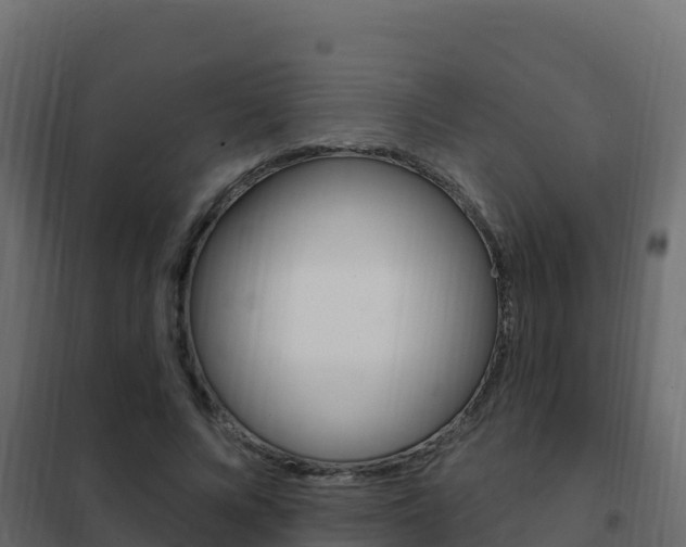 X0000102490688200808081056