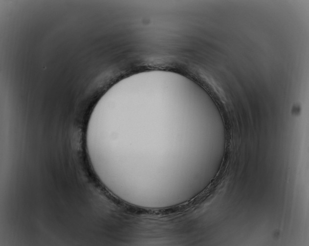 X0000102490689200808081056