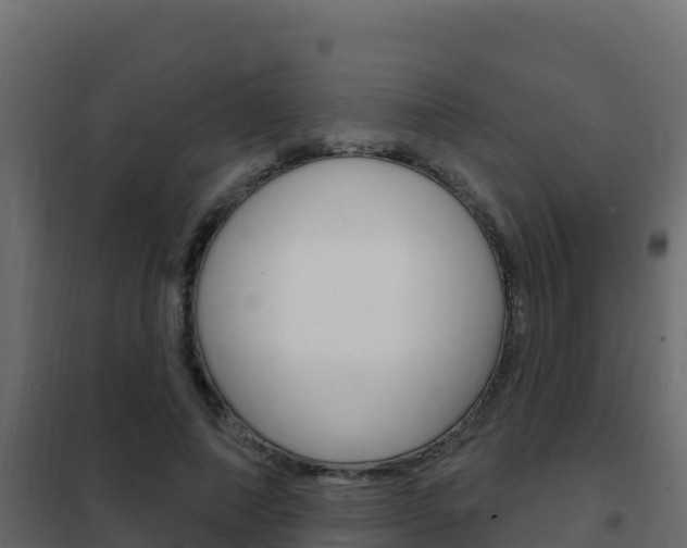 X0000102490690200808081056
