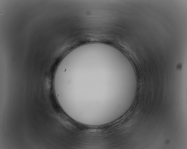 X0000102490691200808081056