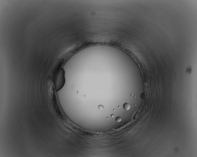X0000102490692200808081056
